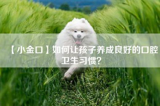 【小金口】如何让孩子养成良好的口腔卫生习惯？