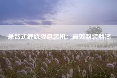 悬臂式缠绕膜包装机：高效封装利器