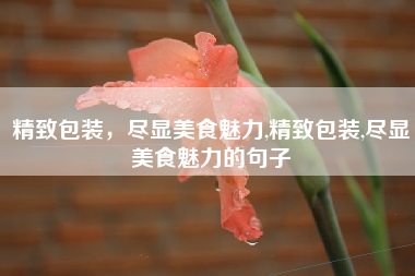 精致包装，尽显美食魅力,精致包装,尽显美食魅力的句子