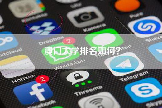 澳门大学排名如何？