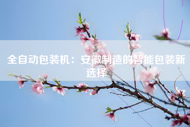 全自动包装机：安徽制造的智能包装新选择