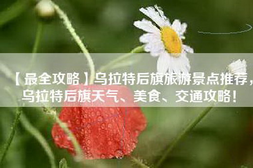 【最全攻略】乌拉特后旗旅游景点推荐，乌拉特后旗天气、美食、交通攻略！