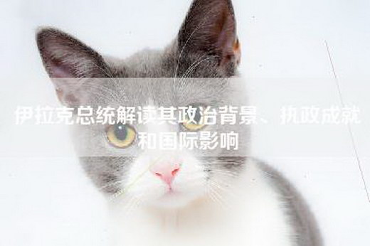 伊拉克总统解读其政治背景、执政成就和国际影响
