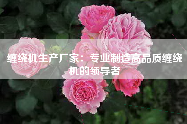 缠绕机生产厂家：专业制造高品质缠绕机的领导者