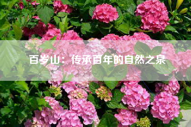百岁山：传承百年的自然之泉