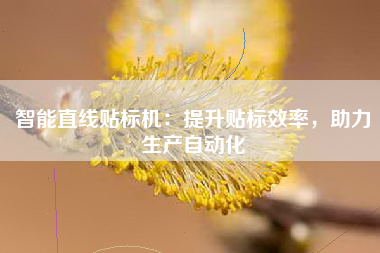 智能直线贴标机：提升贴标效率，助力生产自动化
