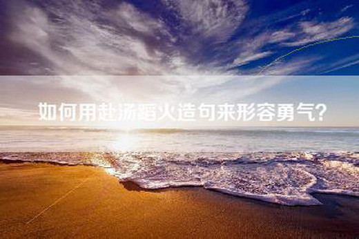 如何用赴汤蹈火造句来形容勇气？