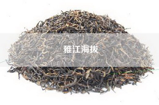 雅江海拔