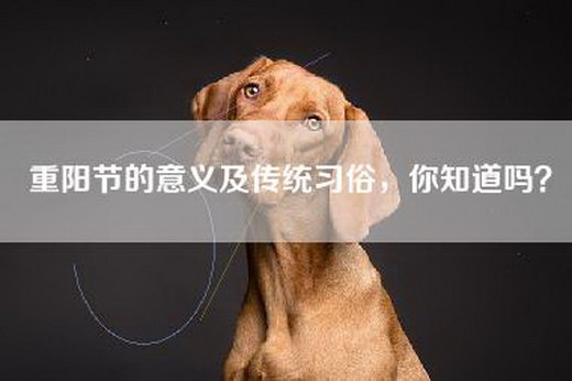 重阳节的意义及传统习俗，你知道吗？