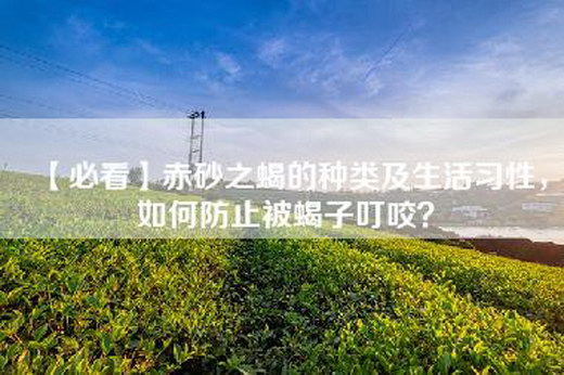 【必看】赤砂之蝎的种类及生活习性，如何防止被蝎子叮咬？