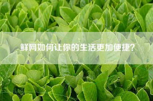 鲜网如何让你的生活更加便捷？