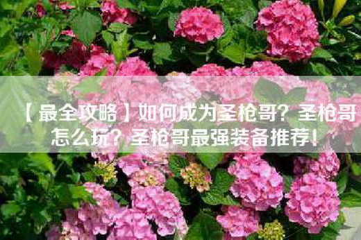 【最全攻略】如何成为圣枪哥？圣枪哥怎么玩？圣枪哥最强装备推荐！