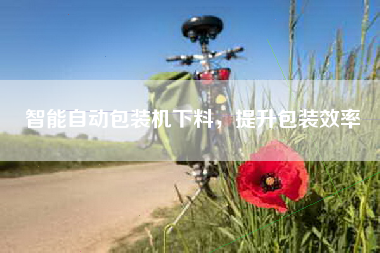智能自动包装机下料，提升包装效率