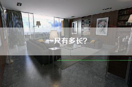 一尺有多长？