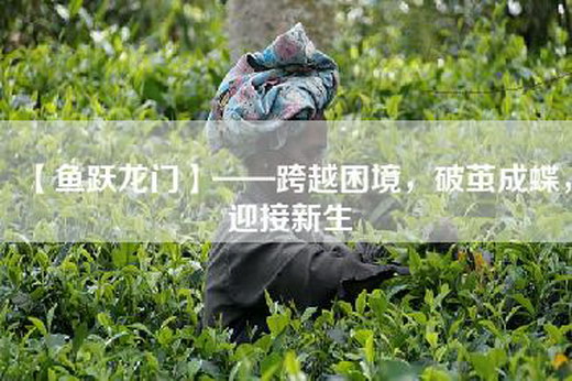 【鱼跃龙门】——跨越困境，破茧成蝶，迎接新生