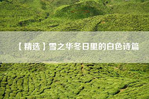 【精选】雪之华冬日里的白色诗篇