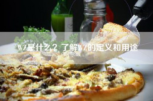WZ是什么？了解WZ的定义和用途