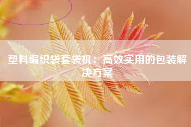 塑料编织袋套袋机：高效实用的包装解决方案