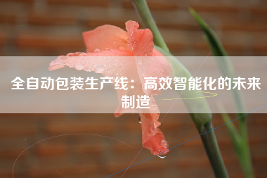全自动包装生产线：高效智能化的未来制造