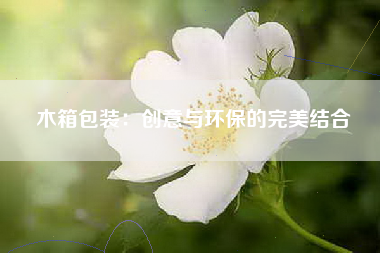 木箱包装：创意与环保的完美结合