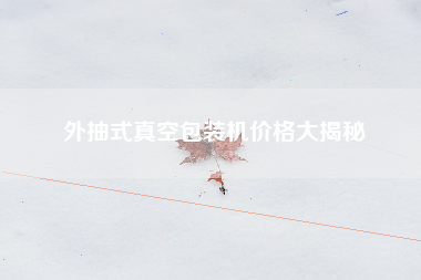 外抽式真空包装机价格大揭秘