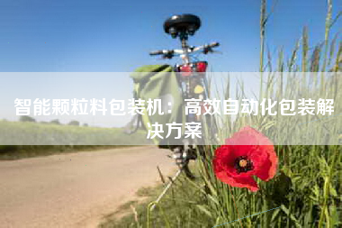 智能颗粒料包装机：高效自动化包装解决方案