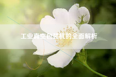 工业真空包装机的全面解析