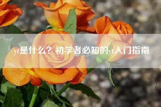 yt是什么？初学者必知的yt入门指南