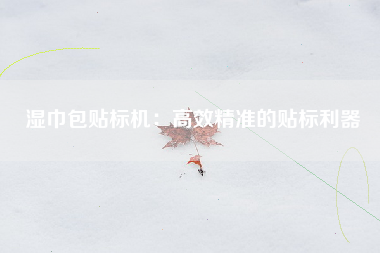 湿巾包贴标机：高效精准的贴标利器