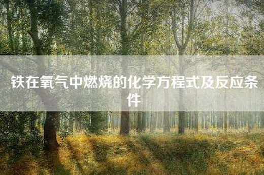 铁在氧气中燃烧的化学方程式及反应条件