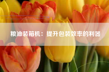 粮油装箱机：提升包装效率的利器