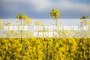 创意包装盒：打造个性化礼物封装，彰显独特魅力