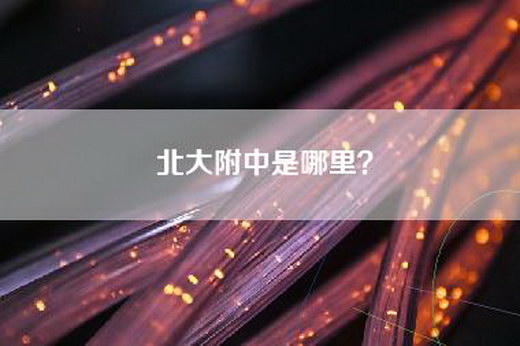 北大附中是哪里？