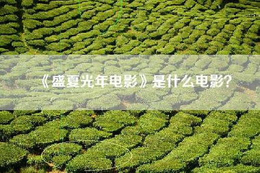 《盛夏光年电影》是什么电影？