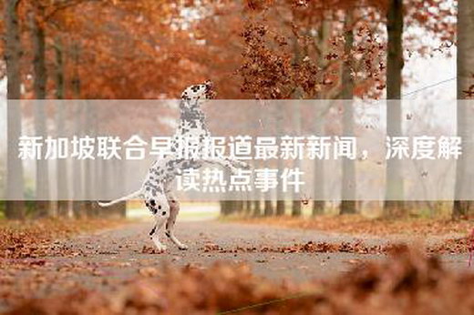 新加坡联合早报报道最新新闻，深度解读热点事件