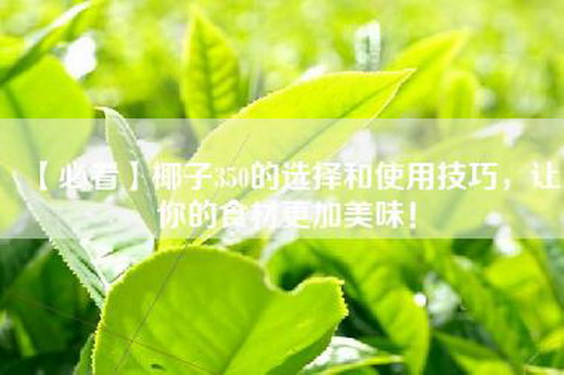 【必看】椰子350的选择和使用技巧，让你的食材更加美味！