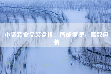 小袋装食品装盒机：智能便捷，高效包装
