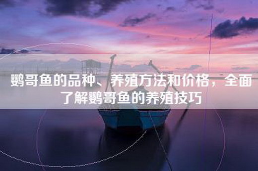 鹦哥鱼的品种、养殖方法和价格，全面了解鹦哥鱼的养殖技巧