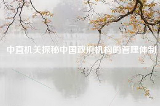 中直机关探秘中国政府机构的管理体制