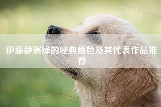 伊藤静演绎的经典角色及其代表作品推荐