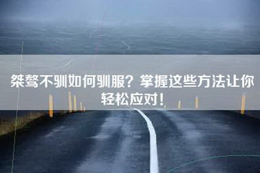 桀骜不驯如何驯服？掌握这些方法让你轻松应对！