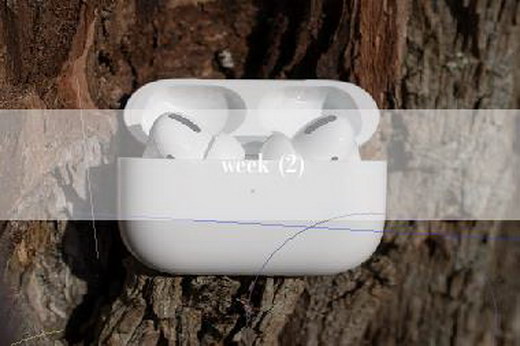 week (2)
