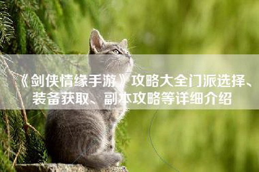 《剑侠情缘手游》攻略大全门派选择、装备获取、副本攻略等详细介绍