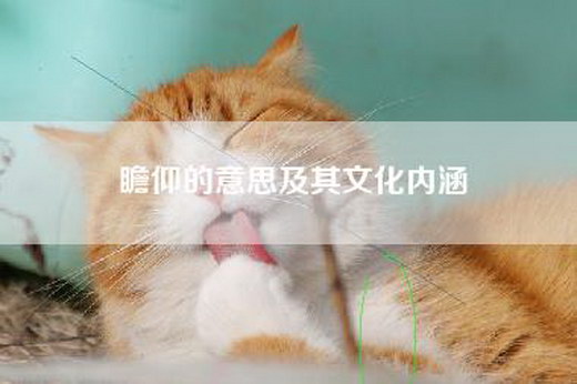 瞻仰的意思及其文化内涵