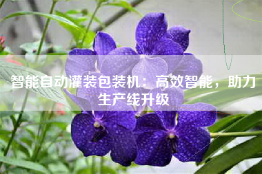智能自动灌装包装机：高效智能，助力生产线升级
