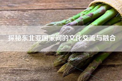 探秘东北亚国家间的文化交流与融合