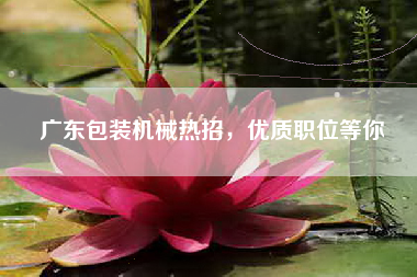 广东包装机械热招，优质职位等你