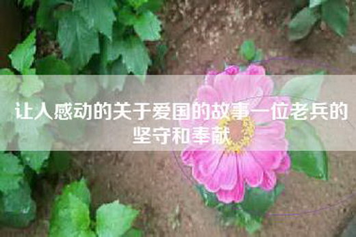 让人感动的关于爱国的故事一位老兵的坚守和奉献