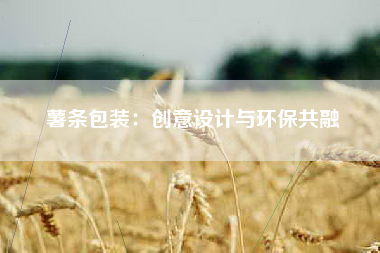 薯条包装：创意设计与环保共融