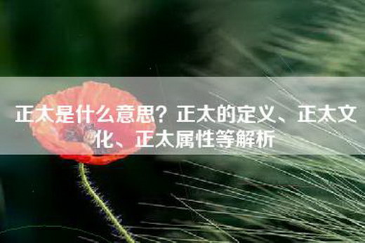 正太是什么意思？正太的定义、正太文化、正太属性等解析